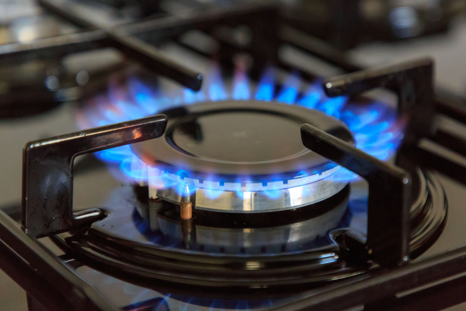 That is Why Everyone Is Freaking Out About Gasoline Stoves Correct Now